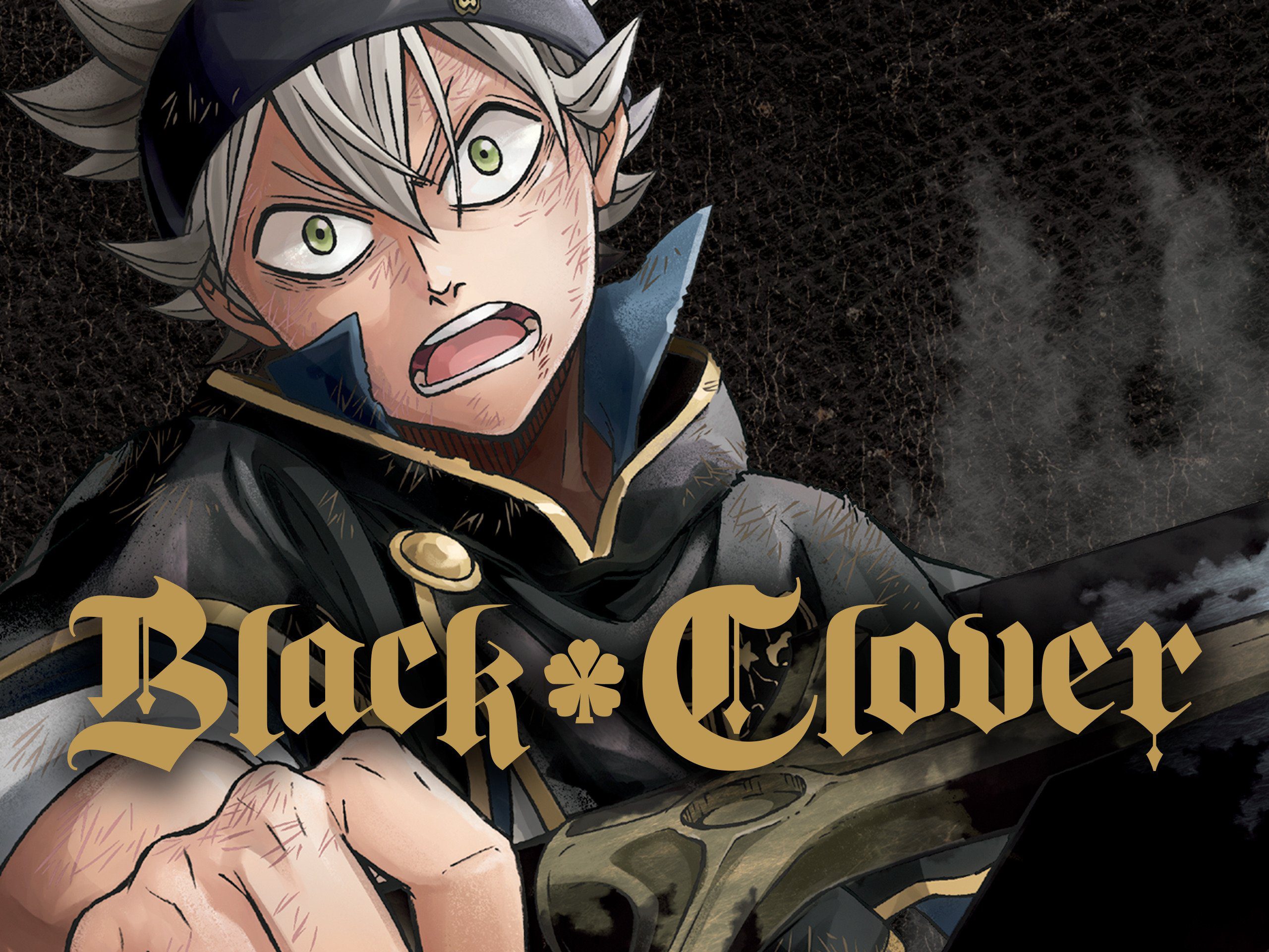 Top 5 Black Clover Couples