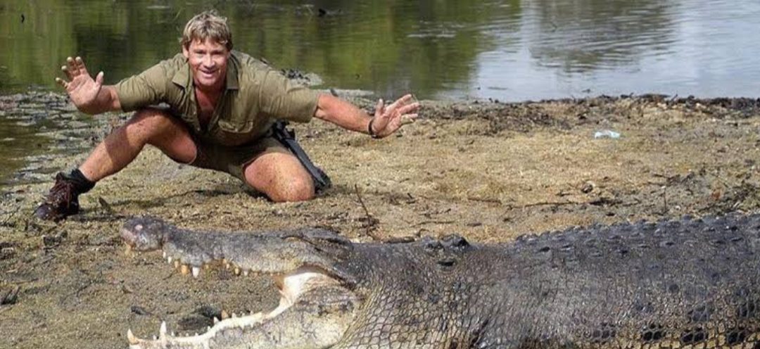 How did Steve Irwin die hn