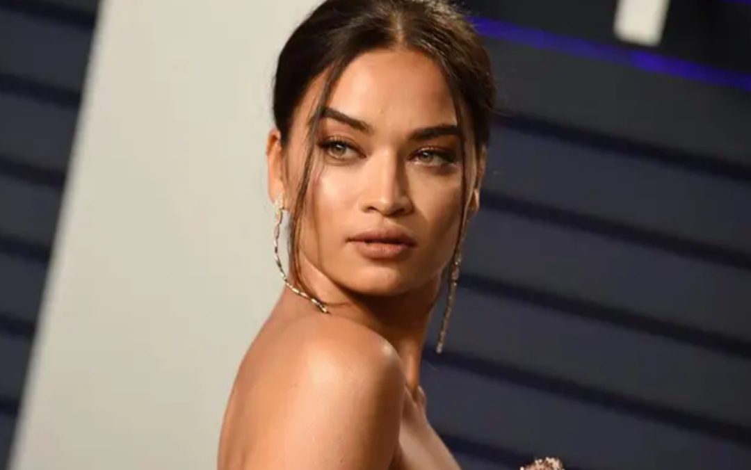 Shanina Shaik pregnant
