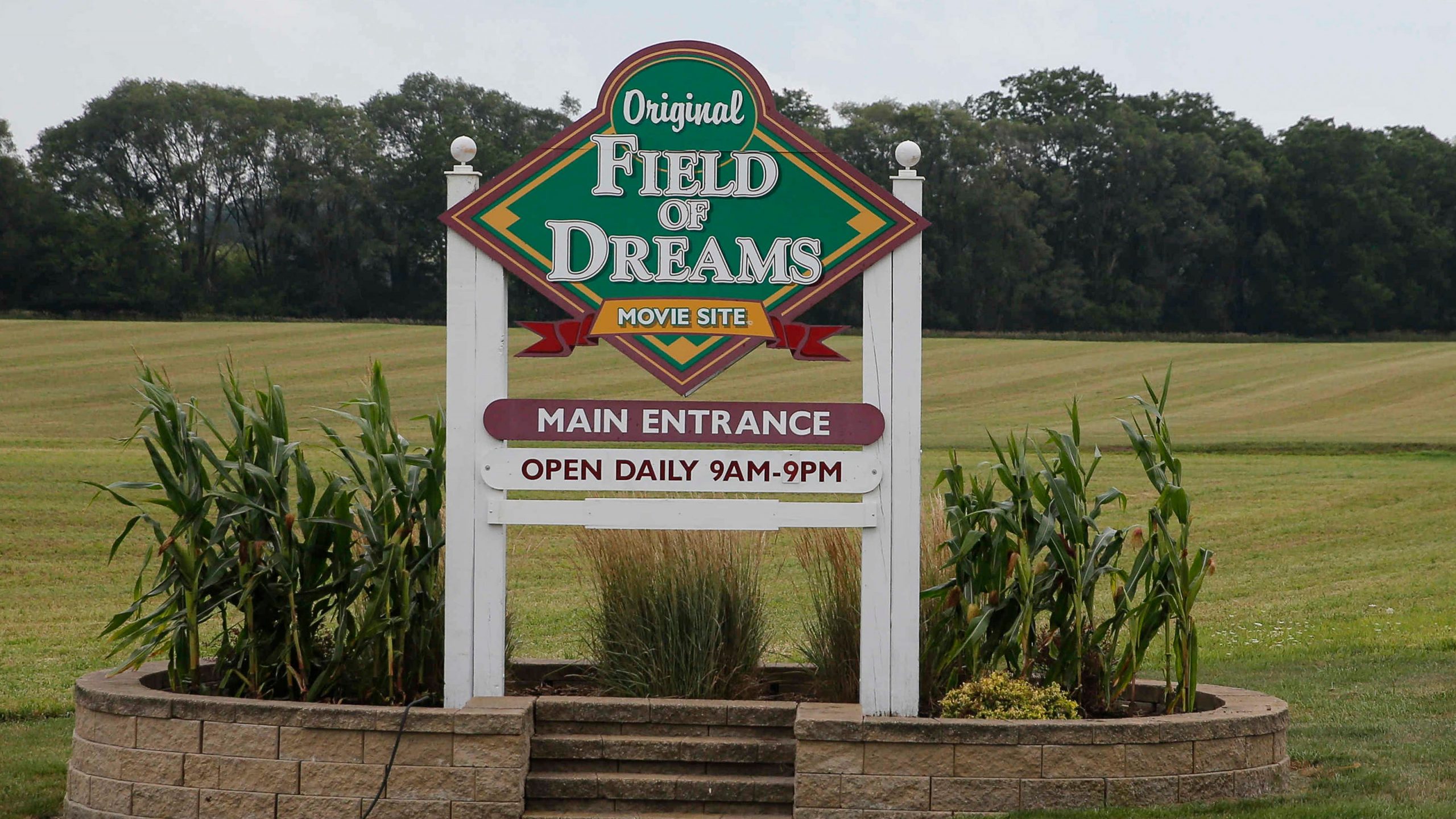 field of dreams 1 scaled