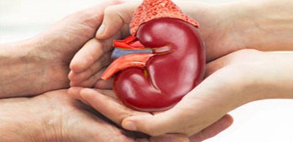 Sale of Kidney news