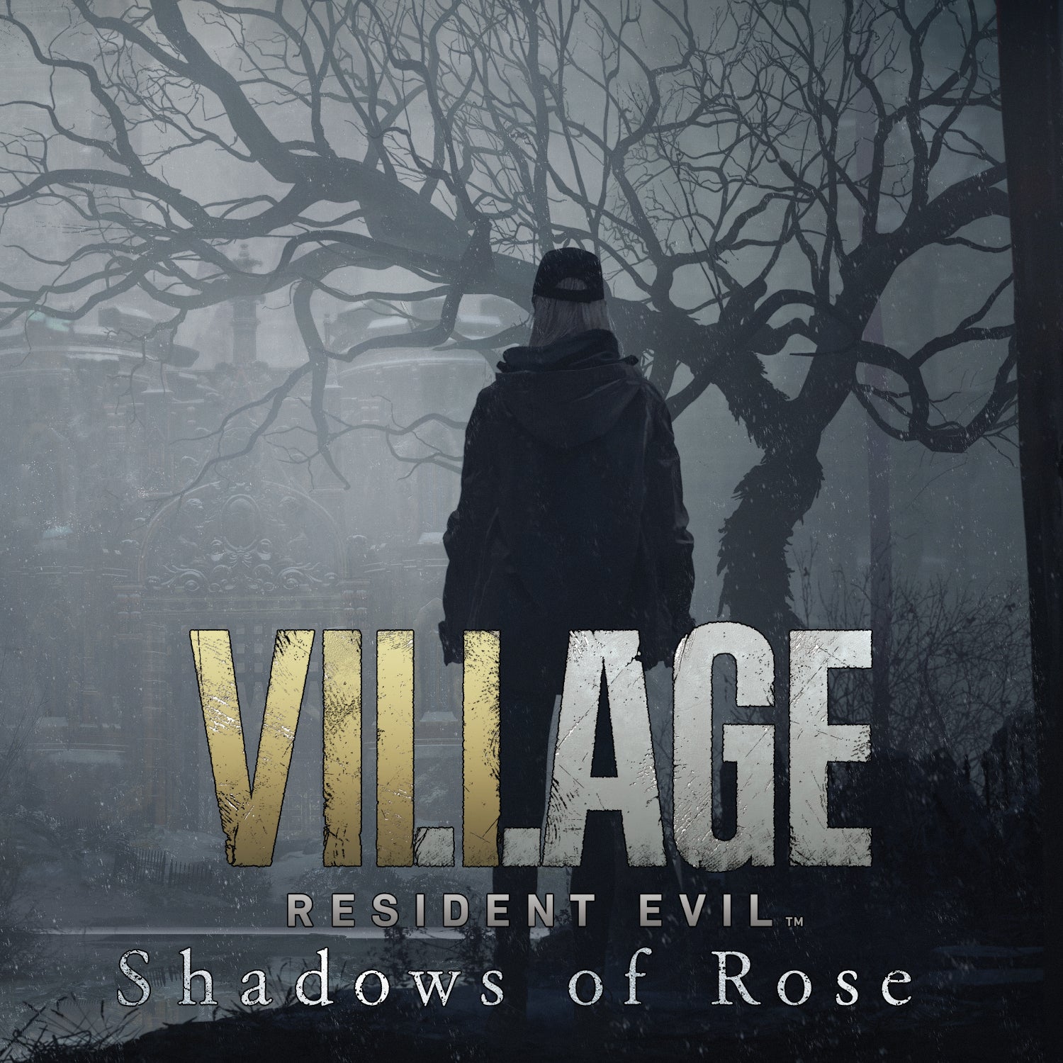 shadows of rose1