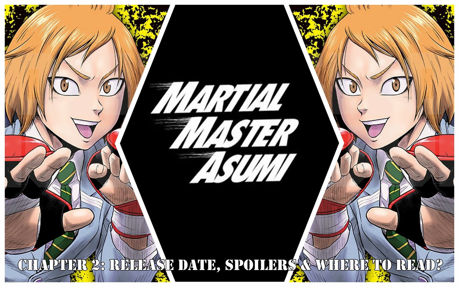 Martial Master Asumi Manga Custom Featured Image