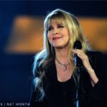 Patrimonio neto de Stevie Nicks: ¿Cuánto gana la reina del rock? [Updated 2023]