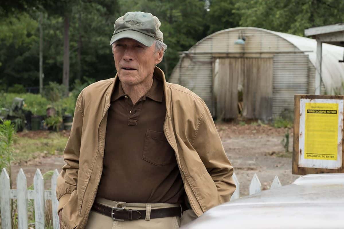 The Mule Main Cast