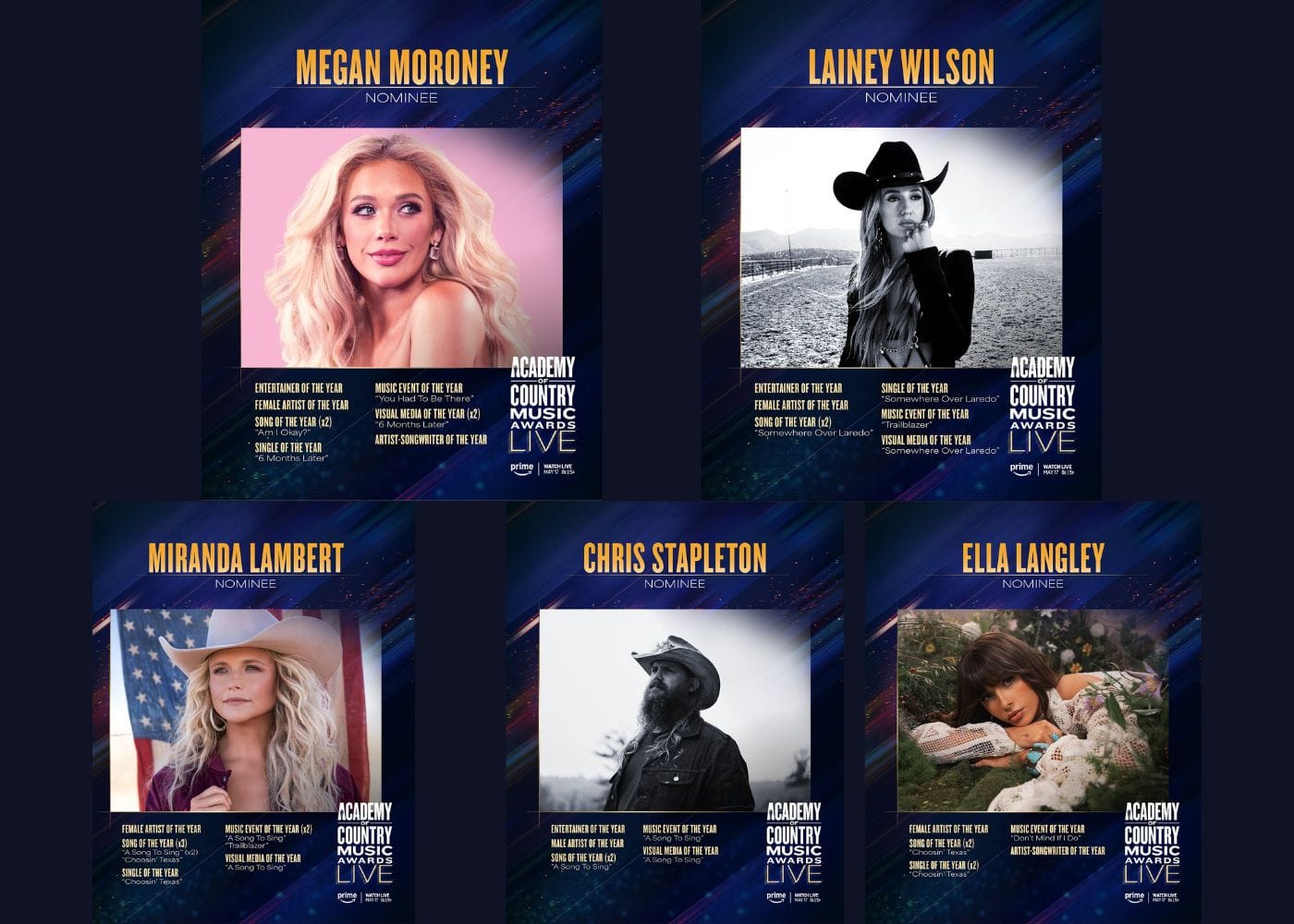 ACM Lead Nominations